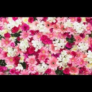 Meet your Posher, Jasmina